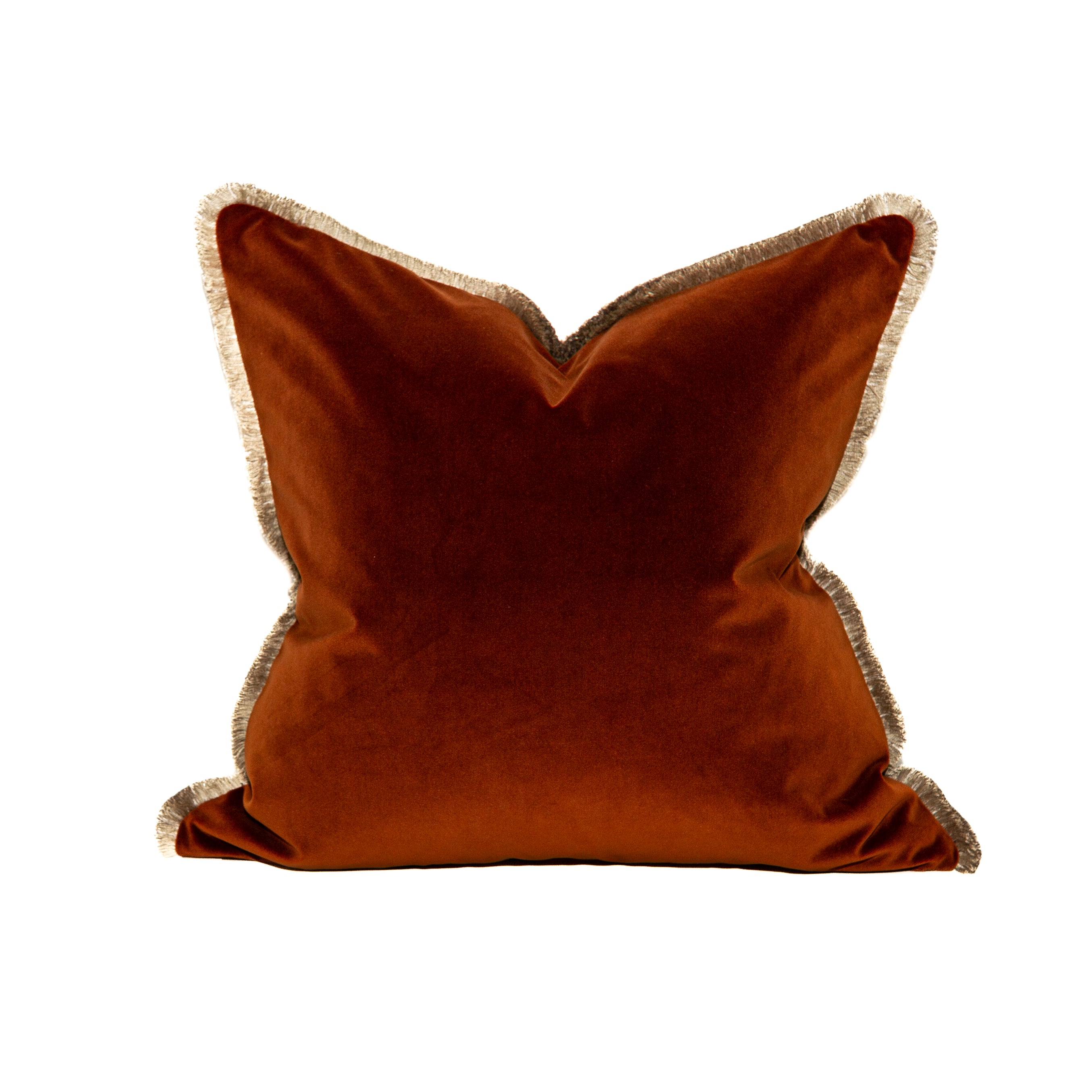 Ambre Kort Fryns Champagne