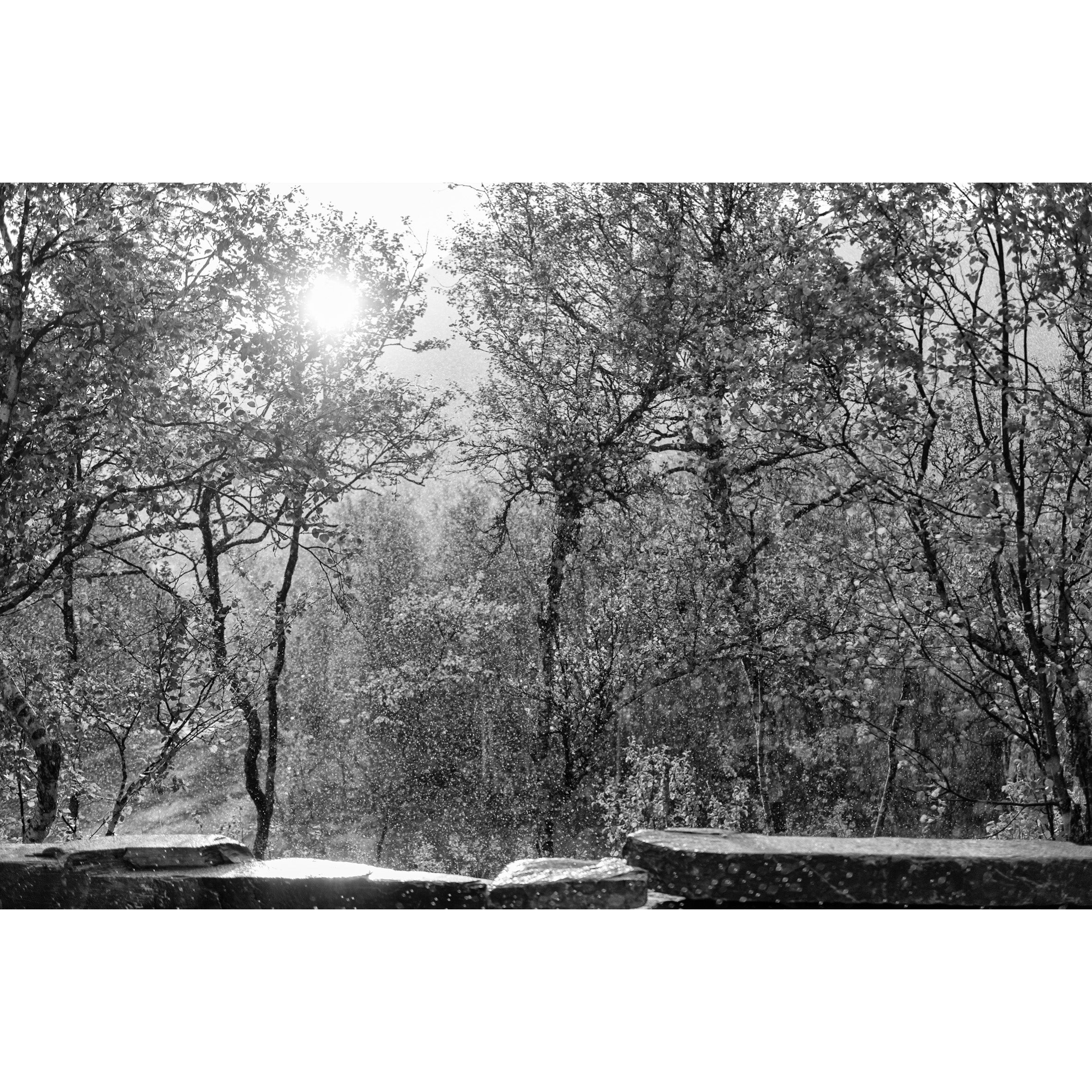 Bilder landscape